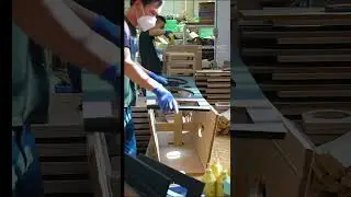 MDF dual 12
