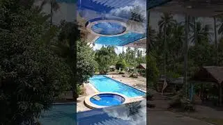 nanay Delia's farm #highlights #pool #poolparty #pooldesign #pool #clear #water