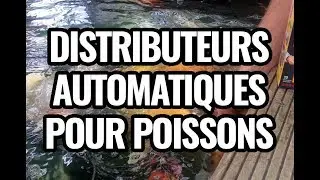 N°10 - Comment nourrir mes poissons quand je pars en vacances? Voici les distributeurs automatiques.
