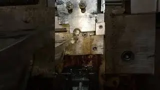 Screw Eye Hook