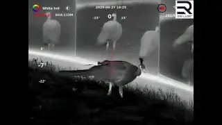 Video recording Thermal Imaging Scope with 1000m Laser Rangefinder