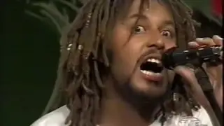 Teor Alco&oacute;lico - Barbuda