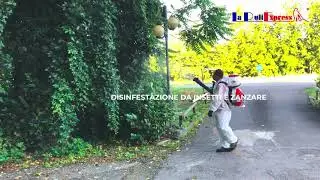 Disinfestazione Milano Pronto Intervento