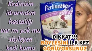 MUTLAKA DENEYİN!!! PERLİNETTE ERKEN TEŞHİS KEDİ KUMU