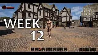 Solo Dev MMORPG - Week 12