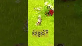 🌲 ASTUCES & CONSEILS 📍 O&Ugrave; ET COMMENT UP SON BUCHERON 200 ? 🔨 - DOFUS 3  #dofus #tuto #tips