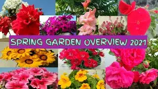 SPRING GARDEN OVERVIEW 2021 || SPRING BLOOMS 2021 🌸🌷