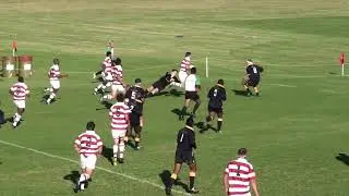 Michaelhouse Rugby Highlights - 2009