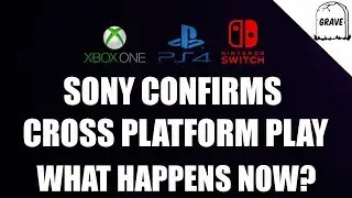 Sony Confirmed Cross Platform Play! What Happens Next?