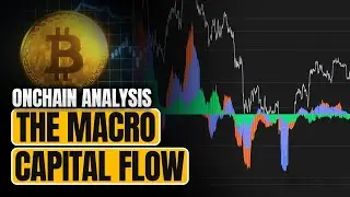 Onchain Analysis: The Macro Capital Flow