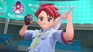 Becoming A Pokemon Elite 4 Member (Bug Type, Battle 1)