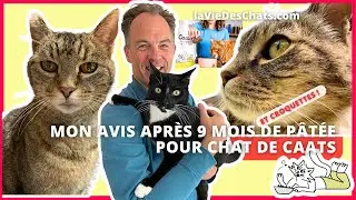 MON AVIS APR&Egrave;S 9 MOIS DE P&Acirc;T&Eacute;E POUR CHAT CAATS. LA MEILLEURE ?