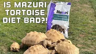 ВРЕДЕН ЛИ корм для черепах MAZURI для моих черепах?!