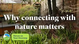 Why connecting with nature matters | RSPB Nature on Your Doorstep