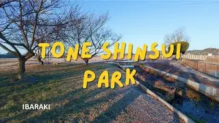 Tone Shinsui Park Ibaraki 🇯🇵 | Japan Beautiful Riverside Park 🌿 | ජපානයේ ලස්සන උද්&zwj;යානයක්