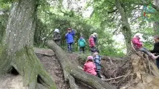 Waldtag Kita Biberbach