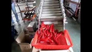 Prototype of Korean red pepper destemmer