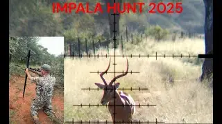 Impala Hunt in the African Bushveld | Rutting Season Action!