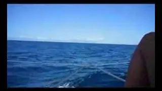 1 year long honeymoon on yacht podrozposlubna na jachcie