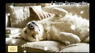 1 hour Brown Noise for Dogs | Fireworks & Thunder Anxiety Relief