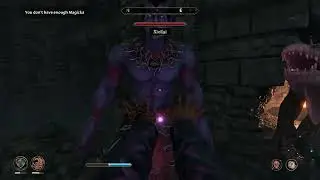 High Level Mage Rampage to get the Bloodworm Helmet - Oblivion Remastered