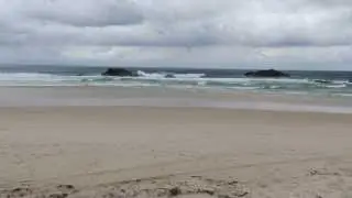 Black Rocks Beach, Pottsville, NSW - dogexplorer.com.au