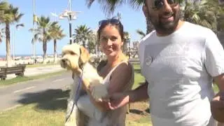 IMI IMPULSA CAMPA&Ntilde;A DE FOMENTO A LA TENECIA RESPONSABLE DE MASCOTAS