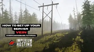 VEIN  -  How to set up your server