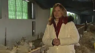 Poljoprivredna emisija Farma 922