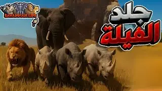 خطة مجنونة أنهت كل الفيلة في ثواني ,😈 آراينو والانتقام الكبير من الفيلة