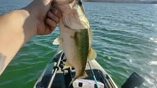 sea ghost 130 vide walk around