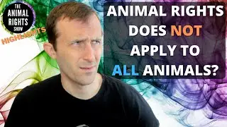 Are We Overcomplicating Animal Rights? (HHY6 Highlights)