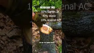 #1 Mistake in Hardwood Timber