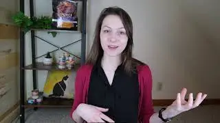 Top 7 Best Kitten Foods (We Tested Them All)