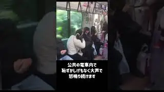 公共の電車内で恥ずかしげもなく大声で叫び、乗客に暴力を振るう中国人女性　引用元：maintosu#迷惑行為 #トラブル #証拠撮影 #防犯カメラ #防犯カムカム