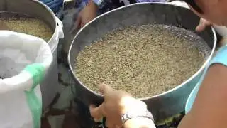 Threshing Process