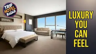 Sheraton Shanghai Waigaoqiao Hotel - Luxury You Can Feel | Shanghai, China🏩