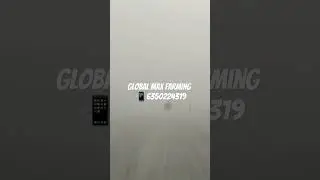 Global Max Pig Farming