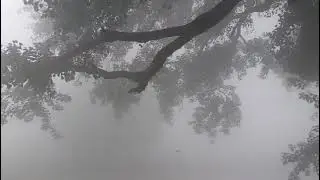 My new vlog # fog in winter season # tranding yt video #viral