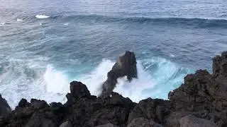 La Palma Princess Christmas 2019