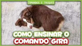 Como ensinar o comando GIRA