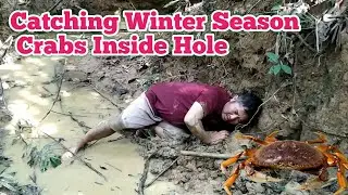 Hunting Crabs & Fish inside Hole|catching crabs in Deep forest of karbi Anglong Assam