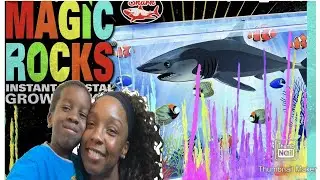 SMITHSONIAN-Magic Rocks Growing Kit, Magic Rocks Experiment-TIME Lapse | Jamarie&Mommy Magic Rocks!!