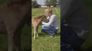 I fell in love&hellip;🥹❤️ #horse #pony #equestrian #foal