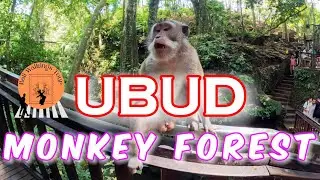 Walking Tour at Monkey Forest | Ubud walking tour | Bali walking tour 2024 | Bali walking today