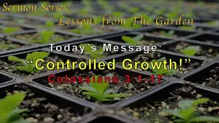 Controlled Growth! - Sunday, February 6th, 2022