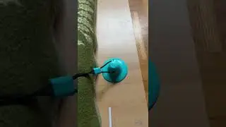 How to use our Suction Cup Ball?🏀 #howtouse #dog #dogtoys #dogs #puppy #dogsupplies #ball #funny