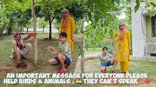 #Summer on its peak : message for everyone | how to help #birds #animals #plants : they Can&rsquo;t speak