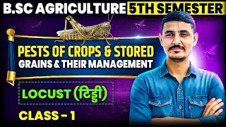 pests of crops and stored grains and their management 5th semester bsc agriculture #entomology