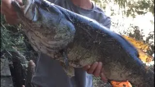THE DAY I CAUGHT MY PB BASS